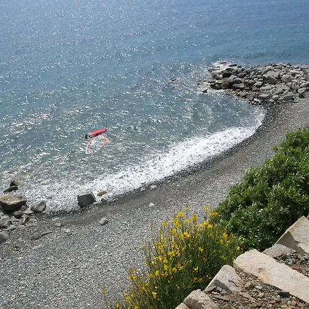 Il Girasole